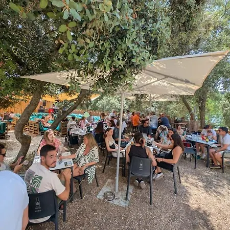 Glamping La Bellota Encinas de Esgueva